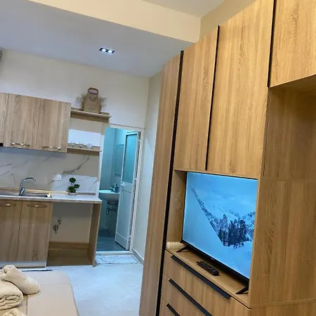 Rei's In The Center Apartment